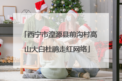 西宁市湟源县前沟村高山大白杜鹃走红网络