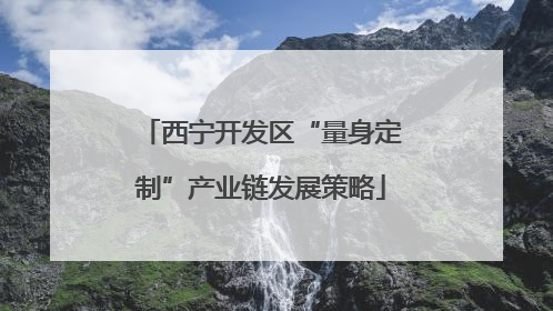 西宁开发区“量身定制”产业链发展策略