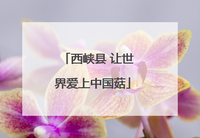 西峡县 让世界爱上中国菇