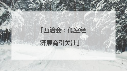 西洽会：低空经济展商引关注