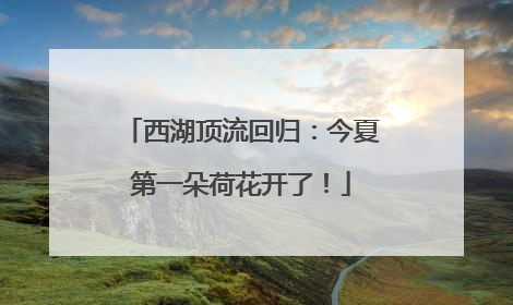 西湖顶流回归：今夏第一朵荷花开了！
