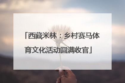 西藏米林：乡村赛马体育文化活动圆满收官