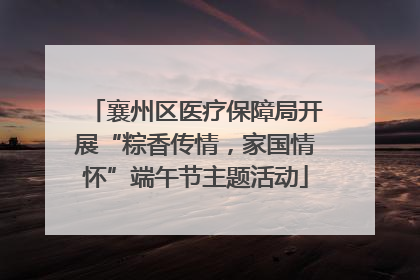 襄州区医疗保障局开展“粽香传情，家国情怀”端午节主题活动