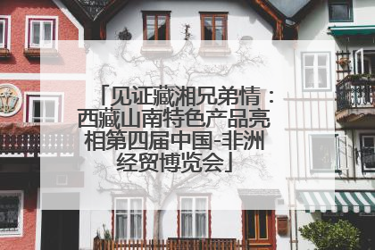 见证藏湘兄弟情：西藏山南特色产品亮相第四届中国-非洲经贸博览会