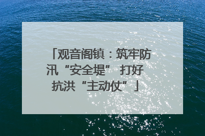 观音阁镇：筑牢防汛“安全堤” 打好抗洪“主动仗”