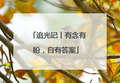追光记丨有念有盼，自有答案