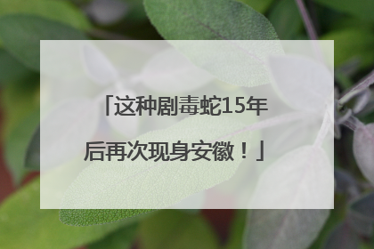 这种剧毒蛇15年后再次现身安徽！