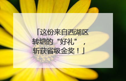 这份来自西湖区转塘的“好礼”，斩获省级金奖！