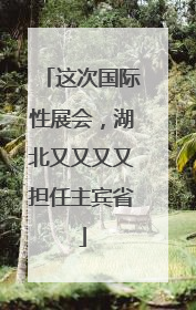 这次国际性展会，湖北又又又又担任主宾省