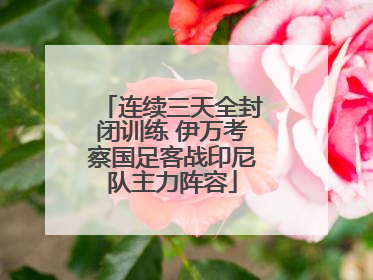 连续三天全封闭训练 伊万考察国足客战印尼队主力阵容