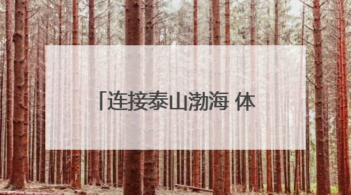 连接泰山渤海 体验人间烟火！“网红”绿皮小火车，新时代迎来新使命