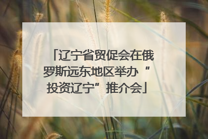 辽宁省贸促会在俄罗斯远东地区举办“投资辽宁”推介会