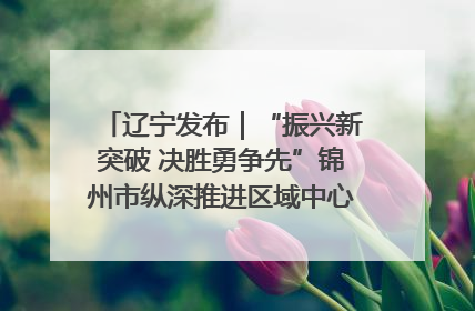辽宁发布｜“振兴新突破 决胜勇争先”锦州市纵深推进区域中心城市建设 打造高质量发展新增长极