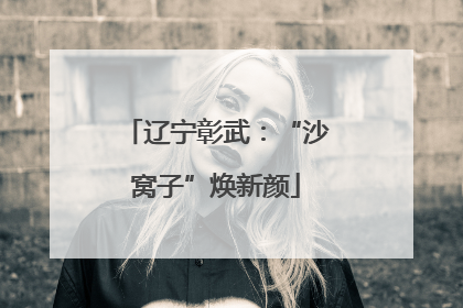 辽宁彰武：“沙窝子”焕新颜