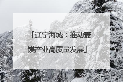 辽宁海城：推动菱镁产业高质量发展