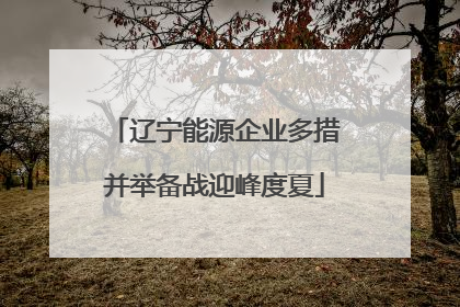 辽宁能源企业多措并举备战迎峰度夏