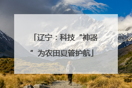 辽宁：科技“神器”为农田夏管护航