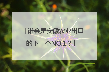 谁会是安徽农业出口的下一个NO.1？