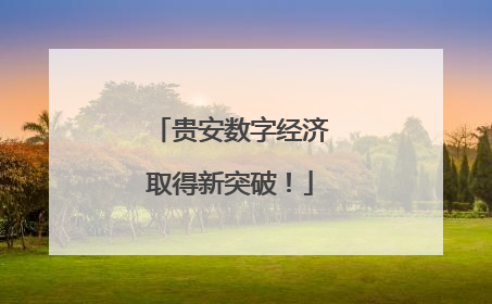 贵安数字经济取得新突破！
