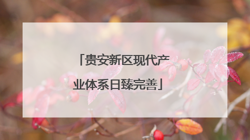贵安新区现代产业体系日臻完善
