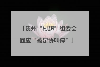 贵州“村超”组委会回应“被足协叫停”