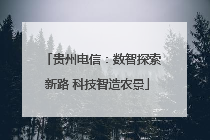 贵州电信：数智探索新路 科技智造农景