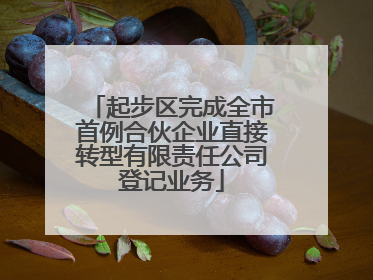 起步区完成全市首例合伙企业直接转型有限责任公司登记业务
