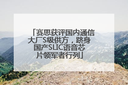 赛思获评国内通信大厂S级供方，跻身国产SLIC语音芯片领军者行列