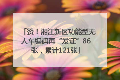 赞！湘江新区功能型无人车编码再“发证”86张，累计121张
