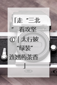 走“三北” 看攻坚①｜太行披“绿装” 连翘药茶香