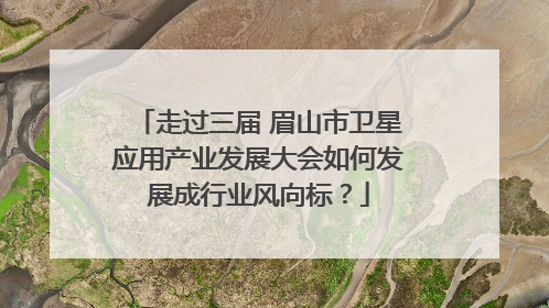 走过三届 眉山市卫星应用产业发展大会如何发展成行业风向标？