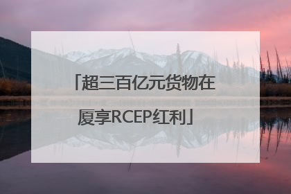 超三百亿元货物在厦享RCEP红利