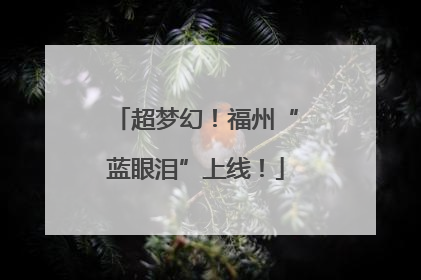 超梦幻！福州“蓝眼泪”上线！