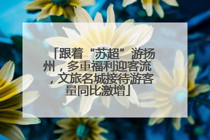 跟着“苏超”游扬州，多重福利迎客流，文旅名城接待游客量同比激增