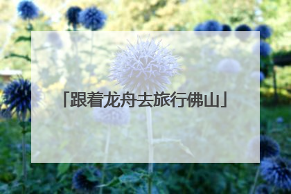 跟着龙舟去旅行佛山