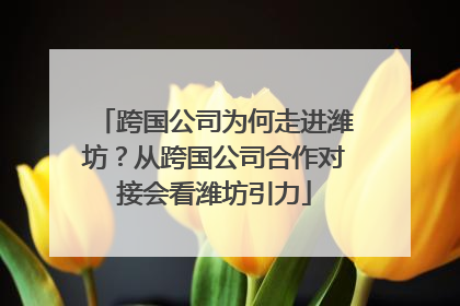 跨国公司为何走进潍坊？从跨国公司合作对接会看潍坊引力