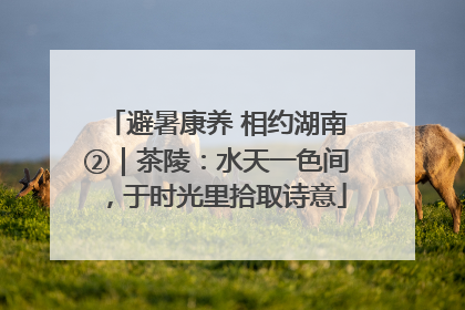 避暑康养 相约湖南②｜茶陵：水天一色间，于时光里拾取诗意