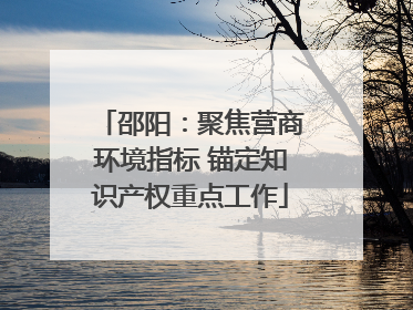 邵阳：聚焦营商环境指标 锚定知识产权重点工作