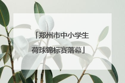 郑州市中小学生荷球锦标赛落幕