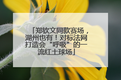 郑钦文同款赛场，湖州也有！对标法网打造会“呼吸”的一流红土球场