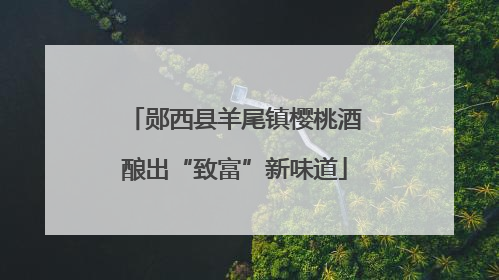 郧西县羊尾镇樱桃酒酿出“致富”新味道