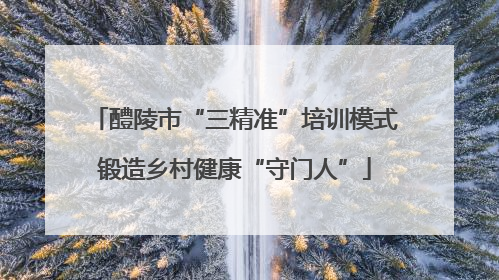 醴陵市“三精准”培训模式锻造乡村健康“守门人”