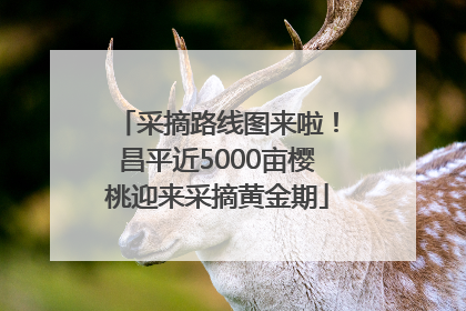 采摘路线图来啦！昌平近5000亩樱桃迎来采摘黄金期