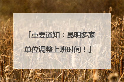 重要通知：昆明多家单位调整上班时间！