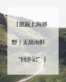 重返上海郊野｜无斑雨蛙“回乡记”