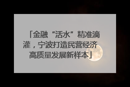 金融“活水”精准滴灌，宁波打造民营经济高质量发展新样本