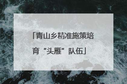 青山乡精准施策培育“头雁”队伍