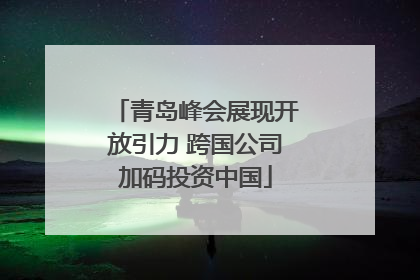 青岛峰会展现开放引力 跨国公司加码投资中国