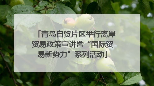 青岛自贸片区举行离岸贸易政策宣讲暨“国际贸易新势力”系列活动