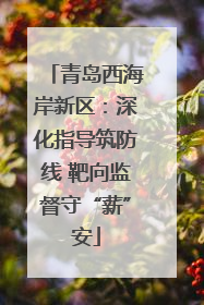 青岛西海岸新区：深化指导筑防线 靶向监督守“薪”安